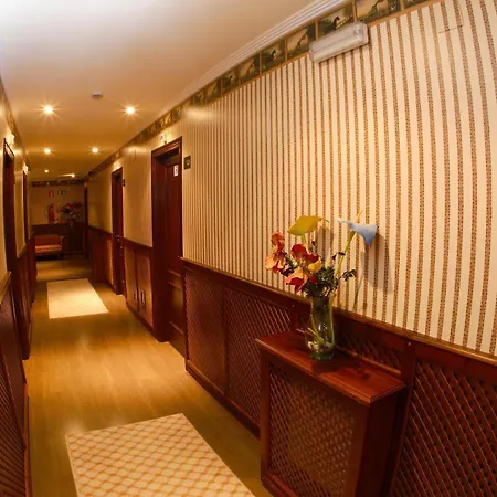 酒店 科米利亚斯酒店 4*